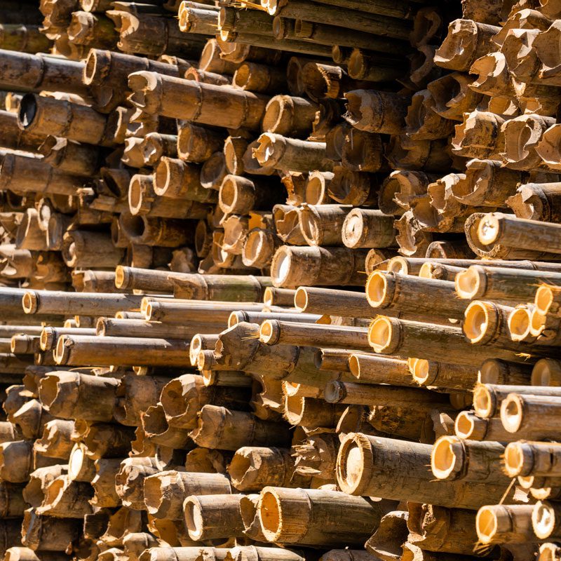 Pulp alternative fibers canusa hershman